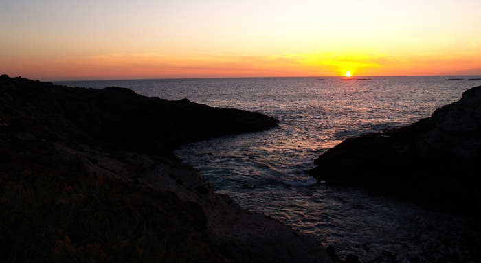 P1015998.JPG