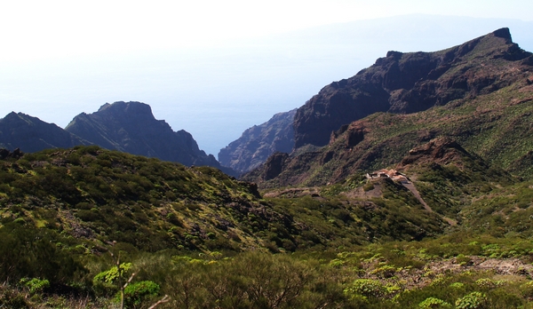 P1015875.JPG