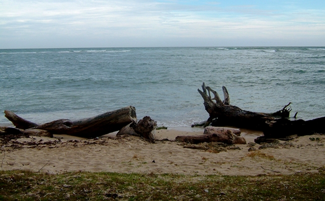 DSCF2120.JPG