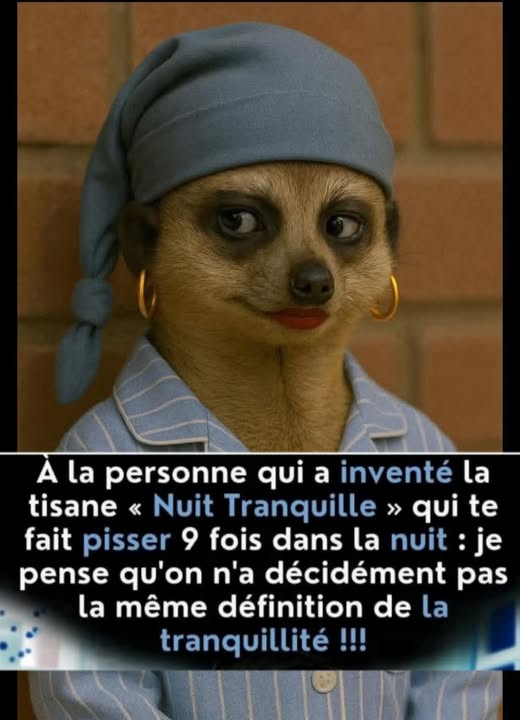 tisane.jpg